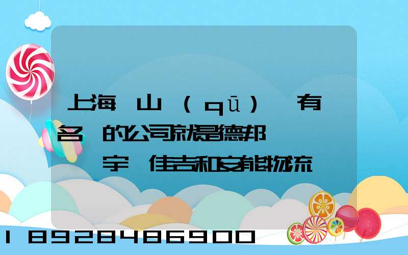 上海寶山區(qū)這有點名氣的公司就是德邦、華宇、佳吉和安能物流,誰能分析...